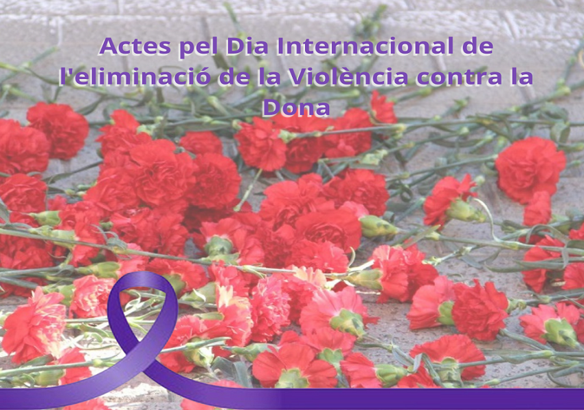 Actos por el Día Internacional de la eliminación de la Violencia contra la Mujer